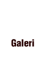 Galeri